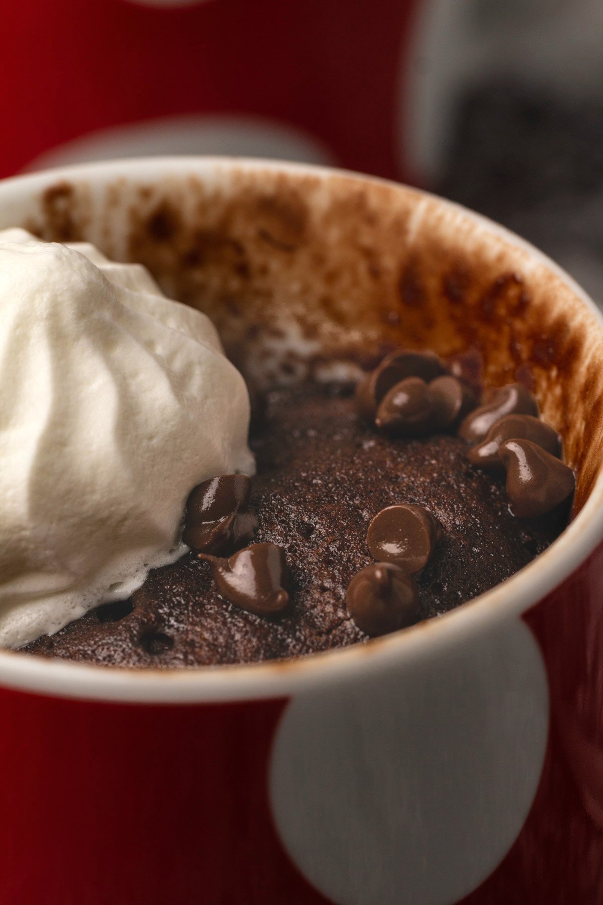 Vegan mug cake topped with chocolate chips and vegan cream. 