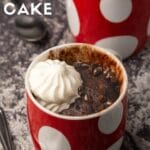 Vegan Mug Cake