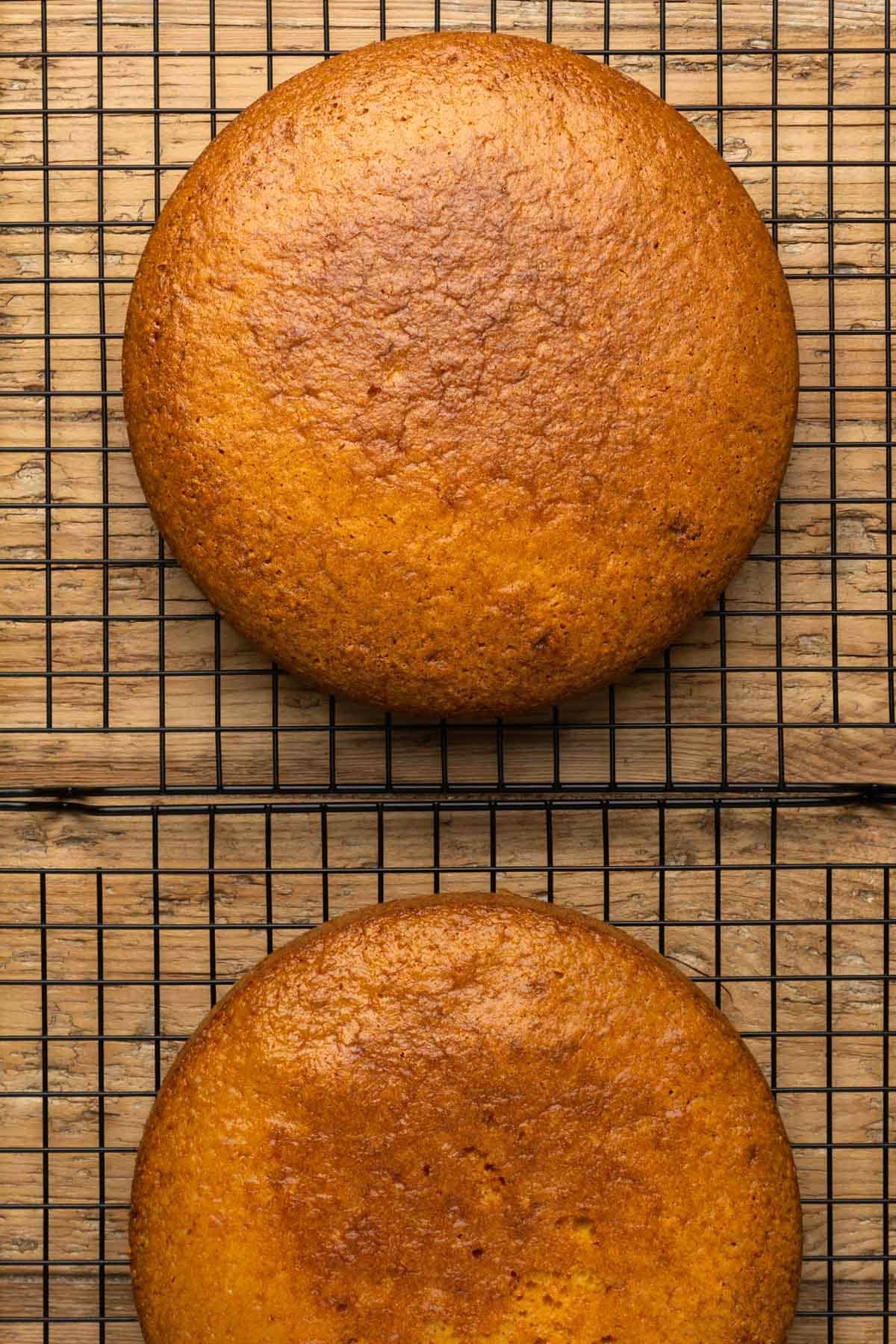 Orange cake layers cooling on a wire cooling rack.